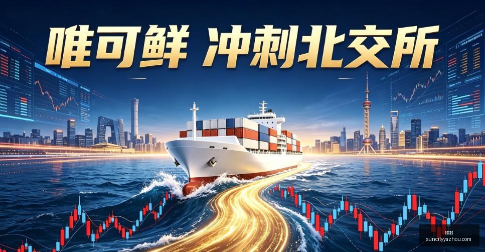 网易电竞财,报解读,电竞教育前,太阳城,太阳城娱乐,太阳城app,太阳城赌场